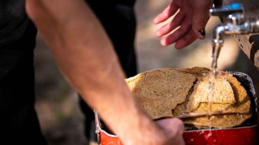 Arzana: Organic product tasting in a farm at sunset - Is $74.20 a fair price?
