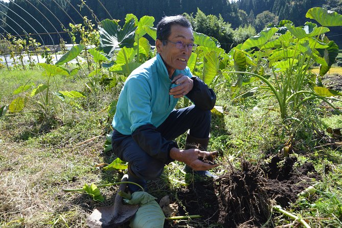 Aso Caldera and Farm Experience Tour - The weather question is important