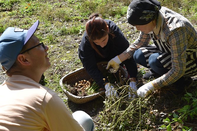 Aso Caldera and Farm Experience Tour - Why the farm lunch matters