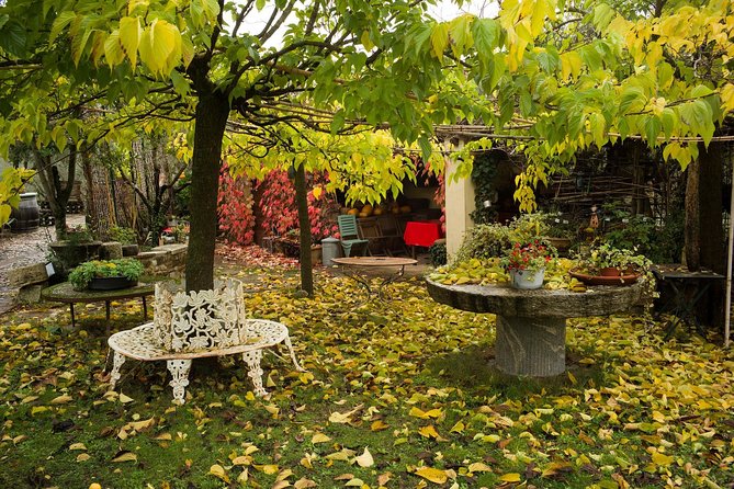 Assisi, Deruta & organic gourmet lunch at the olive oil farmhouse from SIENA - Deruta ceramics and the Ubaldo Grazia factory