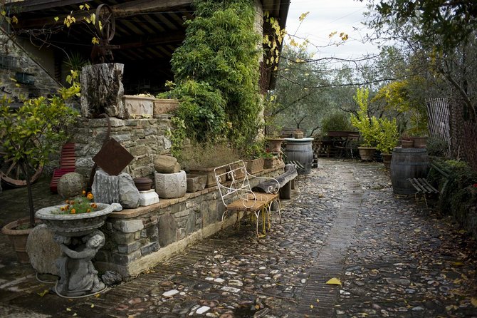 Assisi, Deruta & organic gourmet lunch at the olive oil farmhouse from SIENA - What the private format changes