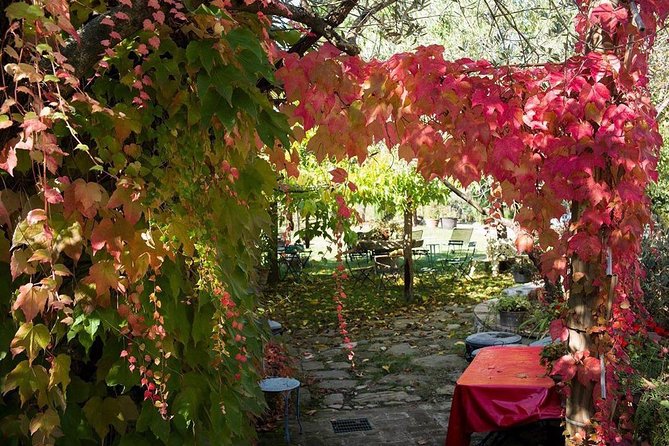 Assisi, Deruta & organic gourmet lunch at the olive oil farmhouse from SIENA - What the $671.41 price really buys