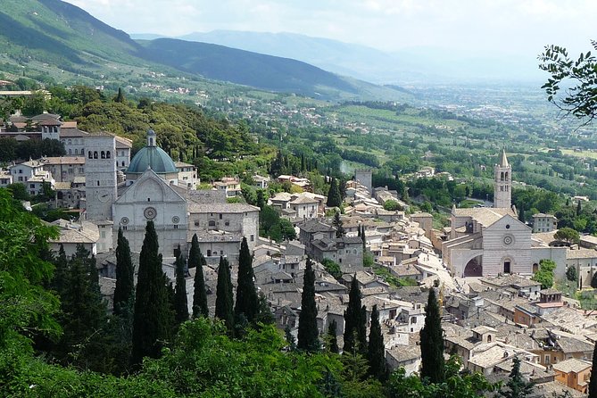 Assisi, Deruta & organic gourmet lunch at the olive oil farmhouse from SIENA - Who will get the most from this experience