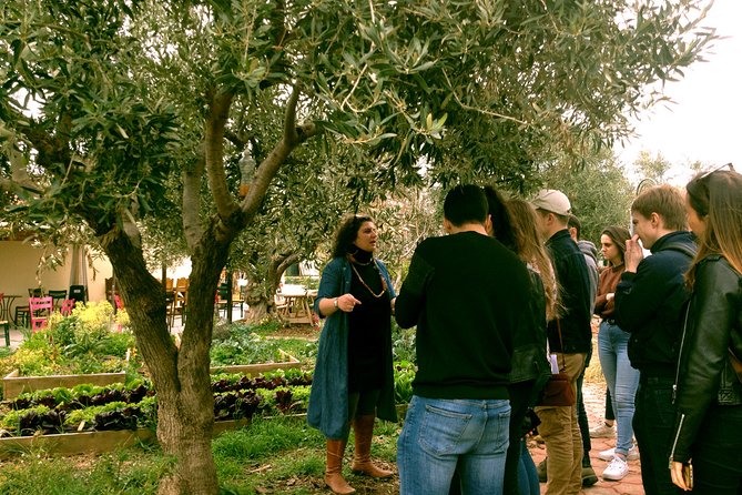 ATHENS OLIVE ESTATE - Olive Oil Workshop with Farm-to-Fork Lunch - What the $568.31 price really covers