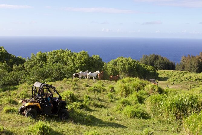 ATV Ranch ride Big Island Hawaii - The ocean stop near the Hamakua coast