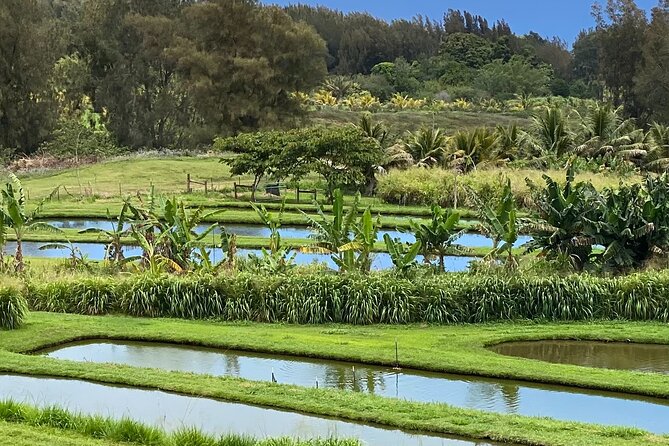 ATV Ranch ride Big Island Hawaii - Price, timing, and what you receive