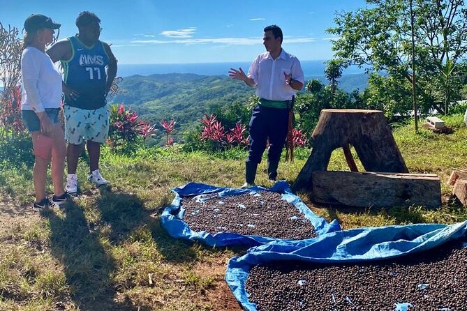 ATV Waterfall & Organic Coffee Farm with Lunch - Practical tips before you go