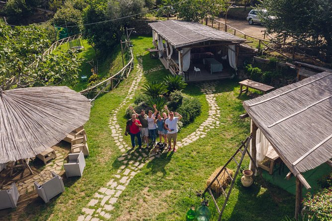 Authentic Farm Tour with Pizza, Cheese, Wine & Limoncello Tasting - Walking among animals, vines, olives, and lemons
