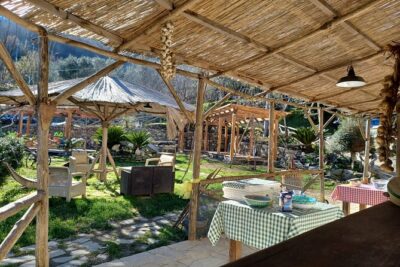 Authentic Farm Tour with Pizza, Cheese, Wine & Limoncello Tasting