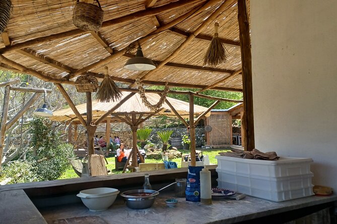 Authentic Farm Tour with Pizza, Cheese, Wine & Limoncello Tasting - Lunch with antipasti, seasonal food, and wine