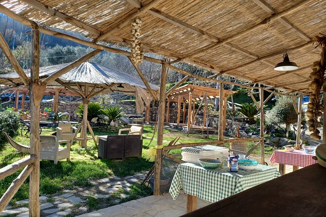 Authentic Farm Tour with Pizza, Cheese, Wine & Limoncello Tasting - Meeting Francesco and the Primaluce family