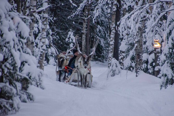 Authentic Reindeer Farm Experience in Rovaniemi - What the $120.15 Price Buys You