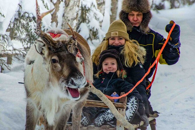 Authentic Reindeer Farm Experience in Rovaniemi - Who Will Enjoy This Most