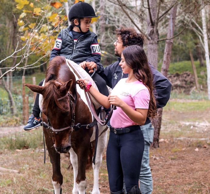 Aveiro: Horseback Riding at a Pedagogical Farm - Why the horses may suit a first ride