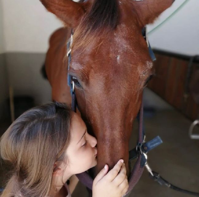 Aveiro: Horseback Riding at a Pedagogical Farm - Weather, timing, and the practical details