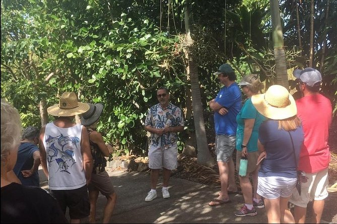 Award Winning Farm Tour: Coffee, Chocolate and Unique Gifts - A working farm above Kona