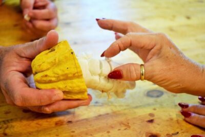 Award Winning Farm Tour: Coffee, Chocolate and Unique Gifts