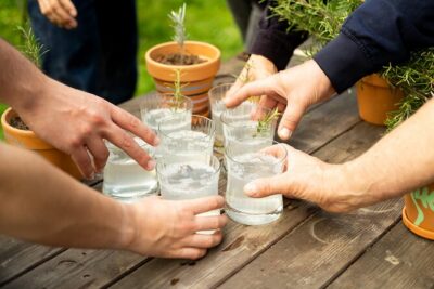 Award winning “From Farm to Table, A Culinary Day in Lyon”