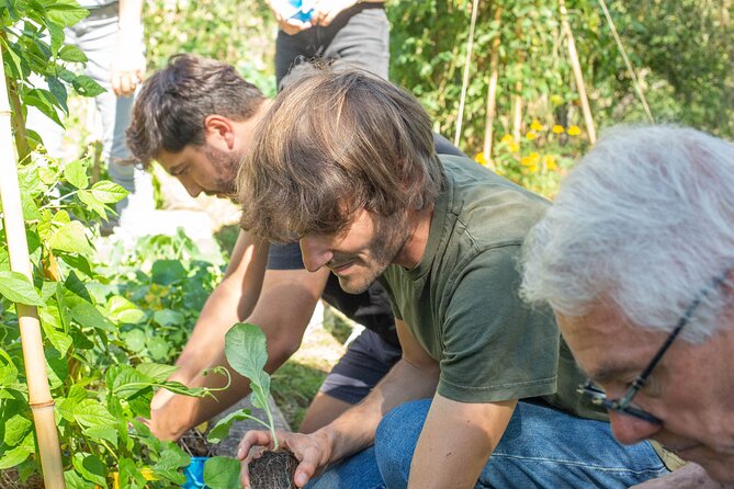 Award winning "From Farm to Table, A Culinary Day in Lyon" - Returning to Lyon for the five-hour cooking class