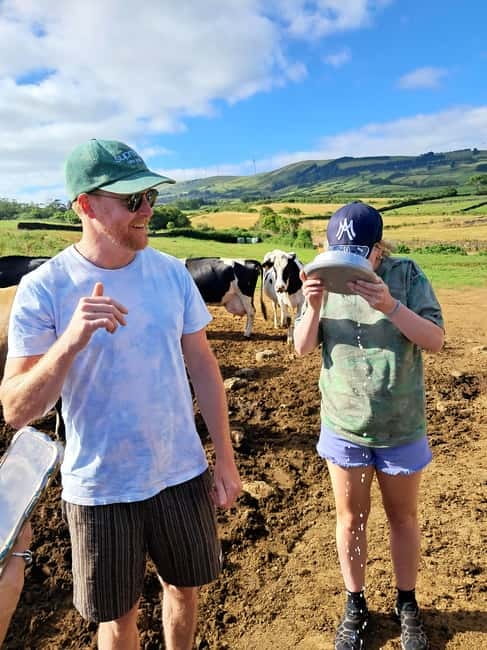 Azores: Dairy Farm Tour - Meeting the cows and learning their habits