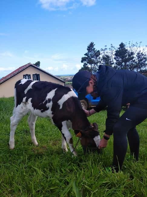 Azores: Dairy Farm Tour - Viewpoints, village streets, and a slower morning