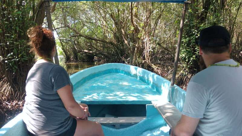 .Baby Turtle Release, Lagoon Boat Ride, and Crocodile Farm - A baby turtle release with real hands-on meaning
