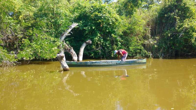 .Baby Turtle Release, Lagoon Boat Ride, and Crocodile Farm - The 45-minute ride out of town