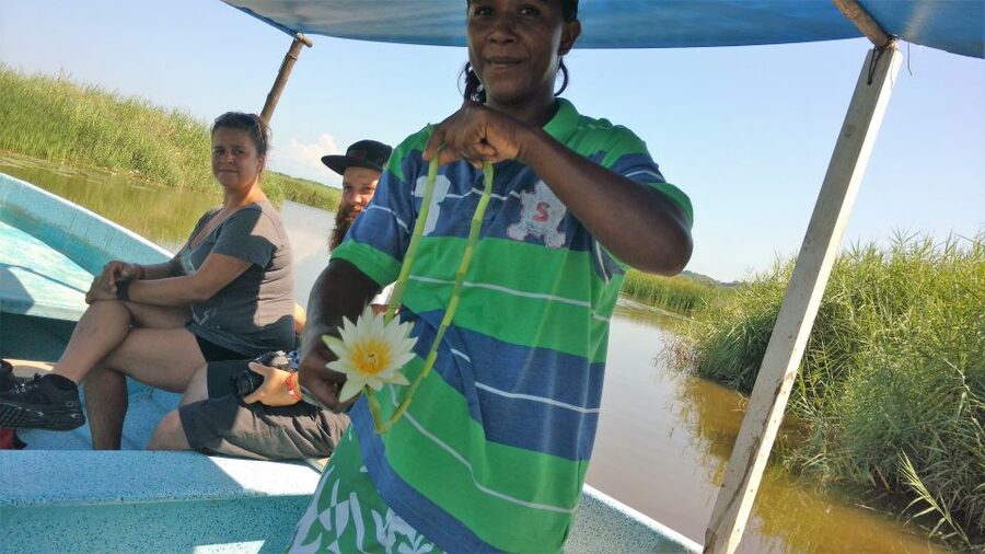 .Baby Turtle Release, Lagoon Boat Ride, and Crocodile Farm - Who will enjoy this five-hour outing