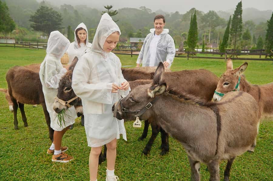 Bali: Farm House Experience with Entry Ticket & Options - Key points at a glance