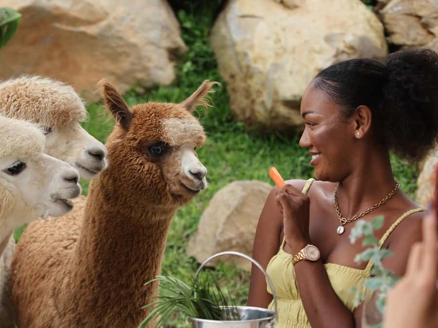 Bali: Farm House Experience with Entry Ticket & Options - A farm day in Bali’s cooler countryside