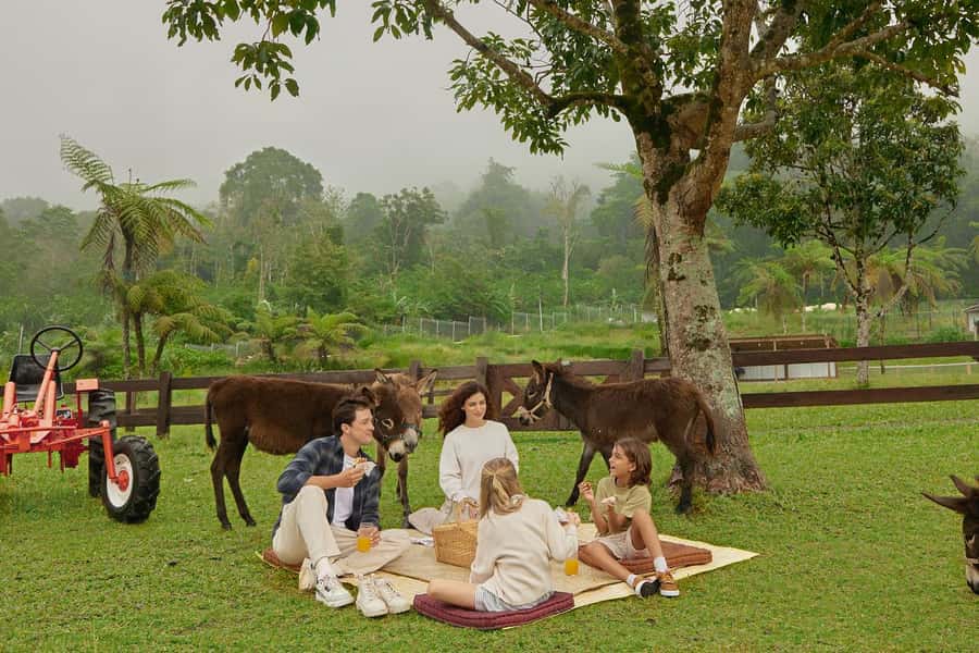 Bali: Farm House Experience with Entry Ticket & Options - Choosing between the animal options