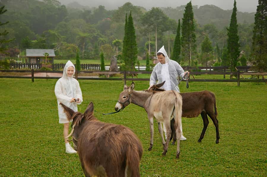 Bali: Farm House Experience with Entry Ticket & Options - Food credit and farm shop stops