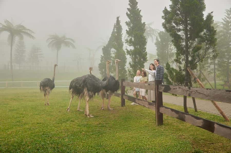 Bali: Farm House Experience with Entry Ticket & Options - Weather, clothing, and access