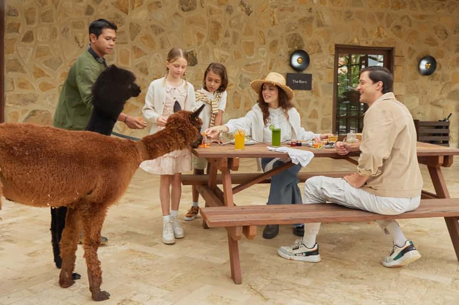 Bali: Farm House Experience with Entry Ticket & Options - Meeting alpacas, donkeys, and friendly farm animals