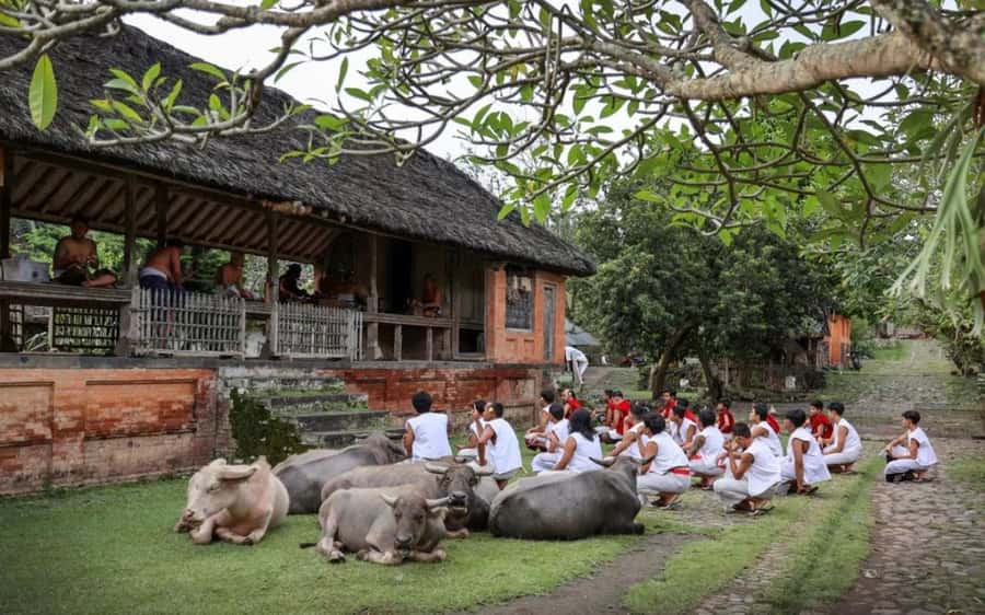 Bali: Traditional Villages, Salt Farm & Tirta Gangga Tour - Sidemen: a short look at rural Bali