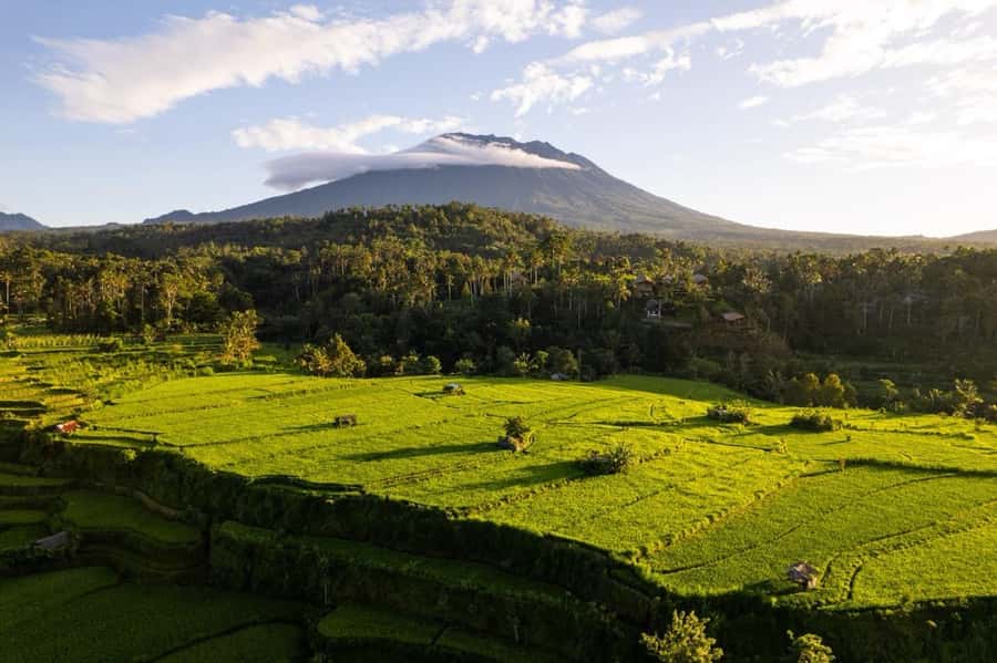 Bali: Traditional Villages, Salt Farm & Tirta Gangga Tour - Tirta Gangga: pools, fountains, and garden views