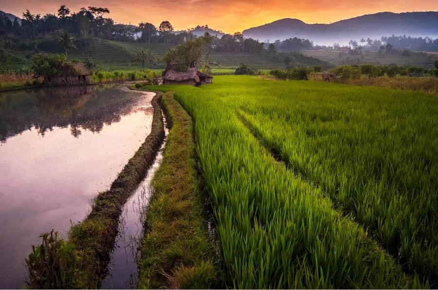 Bali: Traditional Villages, Salt Farm & Tirta Gangga Tour - Candidasa: an ocean-view pause