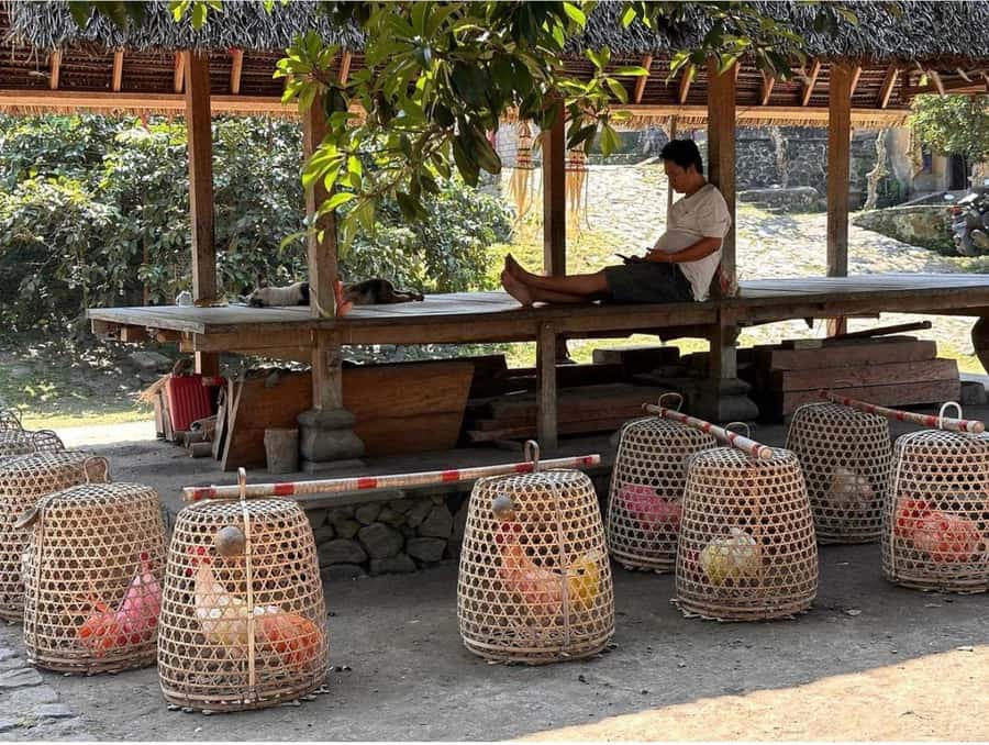 Bali: Traditional Villages, Salt Farm & Tirta Gangga Tour - Tenganan and its protected customs