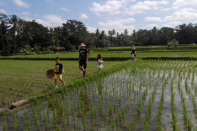 Balinese Cooking Class at Organic Farm - Why the farm setting changes the cooking class