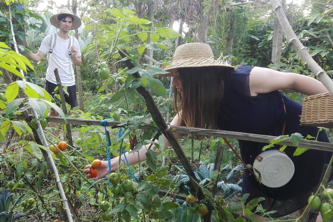 Balinese Cooking Class at Organic Farm - Cooking over a traditional wood-fired stove