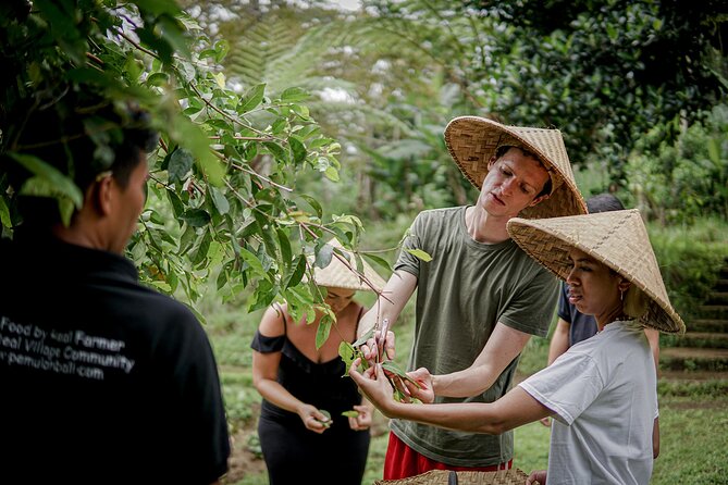 Balinese Farm Cooking Class by Pemulan Bali - From central Ubud to a working Balinese farm
