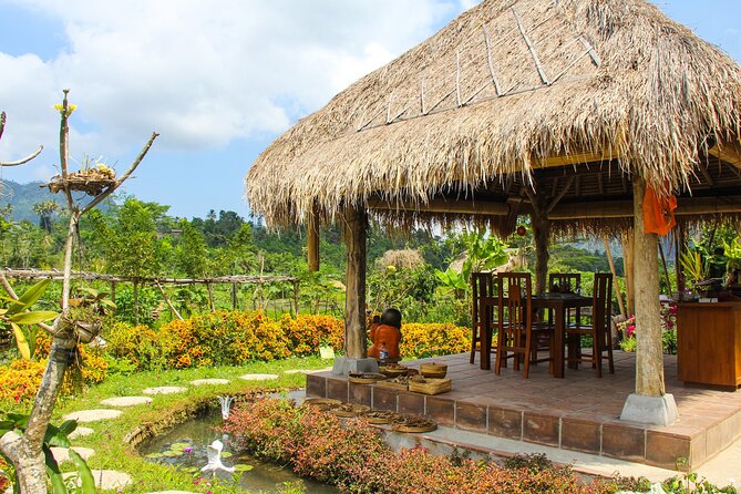 Balinese Vegan Cooking Class with Fresh Harvesting & Garden Tour - Price and what you receive for $41.26