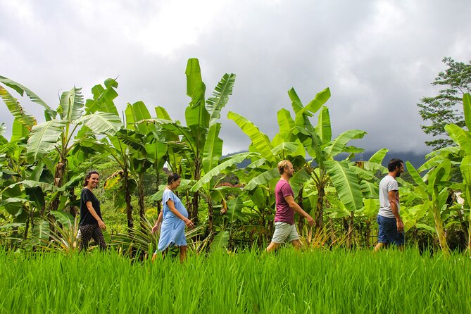 Balinese Vegan Cooking Class with Fresh Harvesting & Garden Tour - Traditional utensils make the lesson more than a recipe demo