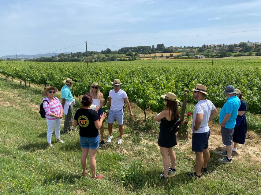 Barcelona: Montserrat with Winery Visit and Farmhouse Lunch - The guides make a real difference