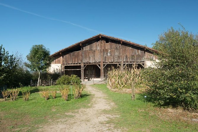 " Basque Farm House & Cider house" tour + meal from San Sebastian - From apple orchards to the cider cellar