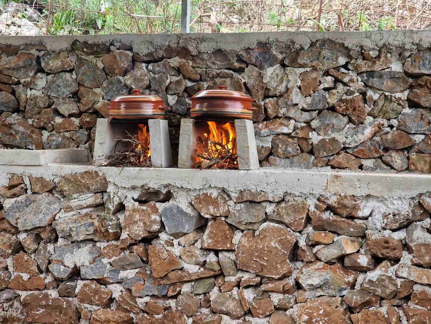 Be A Farmer for A Day in Arevitis Farm! - Should you book Arevitis Farm?