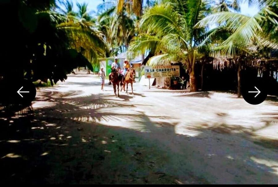 .Beach Horse Riding Turtle Release Crocodile Farm Experience - Should you book this Acapulco excursion?