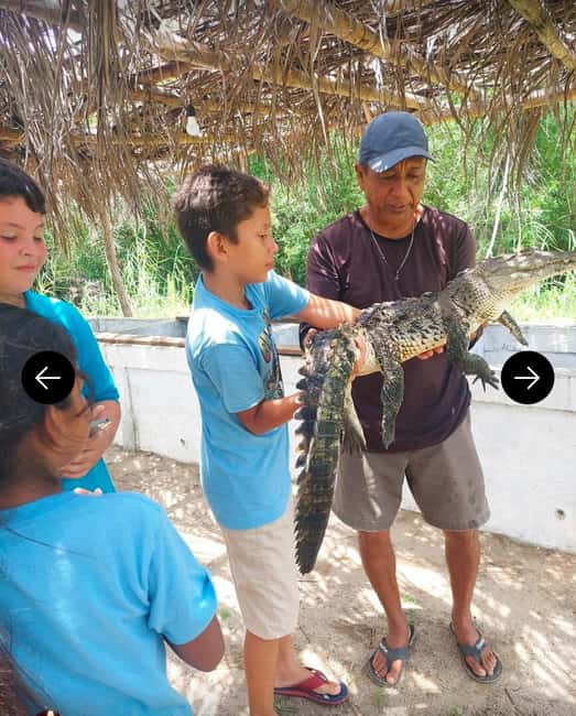 .Beach Horse Riding Turtle Release Crocodile Farm Experience - An Afro-Mexican village between the wildlife stops