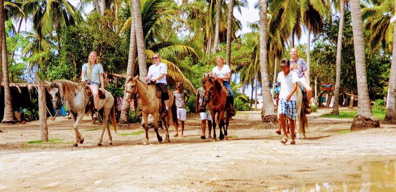 .Beach Horse Riding Turtle Release Crocodile Farm Experience - One hour on horseback beside the Pacific