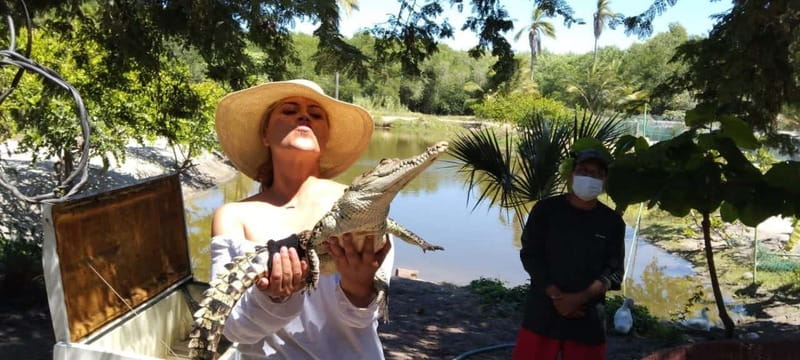.Beach Horse Riding Turtle Release Crocodile Farm Experience - Who will enjoy this day most